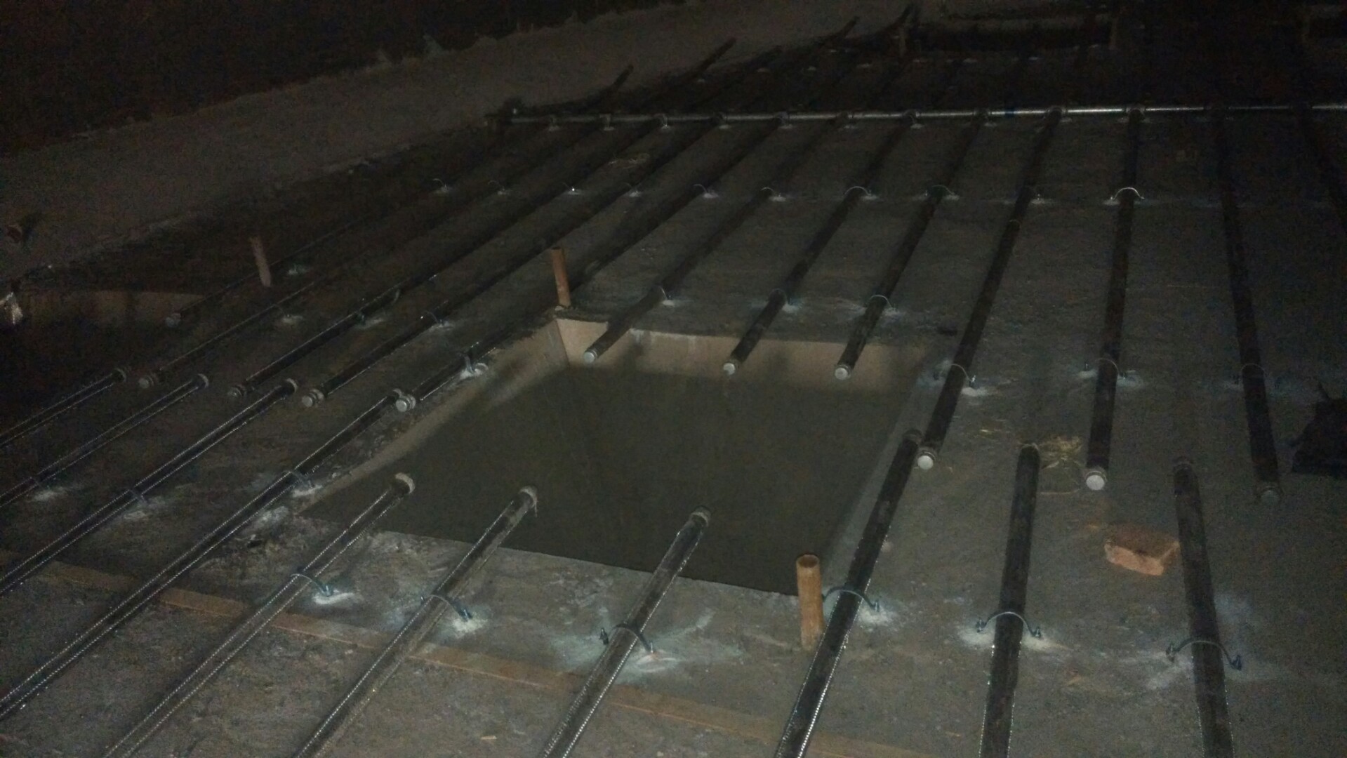 九合垸原种场流化棒