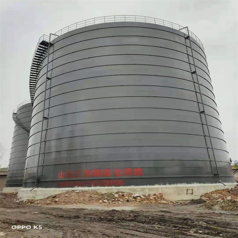 九合垸原种场3万吨大型钢板库