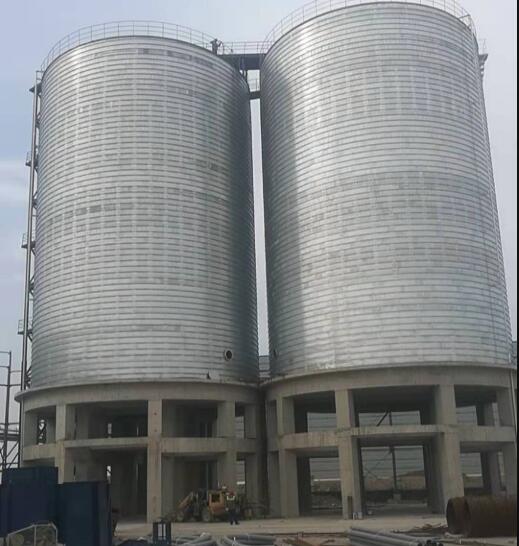 九合垸原种场镀锌卷板仓